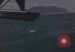 Immagine di Costruttiva PBY Catalina United States USA, 1942, secondo 25 filmato di repertorio 65675063034