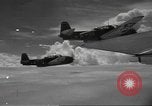Standbild TBF Avenger Philippinen, 1944, aus Sekunde 12 historischem Filmmaterial Videoclip 65675063051