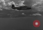 Standbild USA Flugzeuge Luzon Philippinen, 1944, aus Sekunde 38 historischem Filmmaterial Videoclip 65675063053