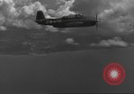 Standbild USA Flugzeuge Luzon Philippinen, 1944, aus Sekunde 39 historischem Filmmaterial Videoclip 65675063053