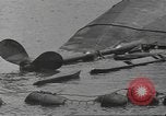 Standbild United States Navy crew Pearl Harbor Hawaii USA, 1942, aus Sekunde 18 historischem Filmmaterial Videoclip 65675063059