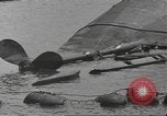 Standbild United States Navy crew Pearl Harbor Hawaii USA, 1942, aus Sekunde 23 historischem Filmmaterial Videoclip 65675063059