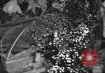 Image of United States men United States USA, 1944, second 38 stock footage video 65675063063