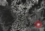 Image of United States men United States USA, 1944, second 43 stock footage video 65675063063