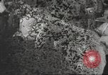 Image of United States men United States USA, 1944, second 51 stock footage video 65675063063