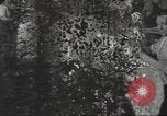 Image of United States men United States USA, 1944, second 52 stock footage video 65675063063