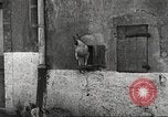 Image of American soldier mail call World War 1 France, 1917, second 3 stock footage video 65675063071
