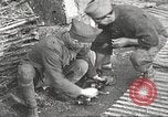 Image of US soldiers examine gunfire damaged car France, 1917, second 12 stock footage video 65675063072