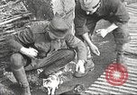 Image of US soldiers examine gunfire damaged car France, 1917, second 16 stock footage video 65675063072
