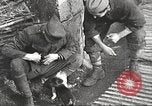 Image of US soldiers examine gunfire damaged car France, 1917, second 17 stock footage video 65675063072