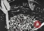 Standbild Amerikanische Rüstungsfabrik Weltkrieg 1 United States USA, 1917, aus Sekunde 57 historischem Filmmaterial Videoclip 65675063078