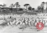 Image of US Navy sailor training for World War 1 United States USA, 1917, second 22 stock footage video 65675063086