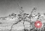 Standbild 1st Cavalry Division Fort Bliss Texas USA, 1942, aus Sekunde 1 historischem Filmmaterial Videoclip 65675063100