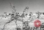 Standbild 1st Cavalry Division Fort Bliss Texas USA, 1942, aus Sekunde 3 historischem Filmmaterial Videoclip 65675063100