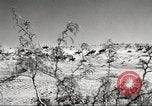 Standbild 1st Cavalry Division Fort Bliss Texas USA, 1942, aus Sekunde 4 historischem Filmmaterial Videoclip 65675063100