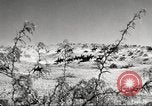 Standbild 1st Cavalry Division Fort Bliss Texas USA, 1942, aus Sekunde 7 historischem Filmmaterial Videoclip 65675063100