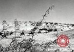 Standbild 1st Cavalry Division Fort Bliss Texas USA, 1942, aus Sekunde 9 historischem Filmmaterial Videoclip 65675063100