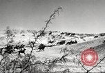 Standbild 1st Cavalry Division Fort Bliss Texas USA, 1942, aus Sekunde 10 historischem Filmmaterial Videoclip 65675063100