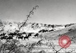 Standbild 1st Cavalry Division Fort Bliss Texas USA, 1942, aus Sekunde 11 historischem Filmmaterial Videoclip 65675063100