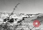Standbild 1st Cavalry Division Fort Bliss Texas USA, 1942, aus Sekunde 12 historischem Filmmaterial Videoclip 65675063100