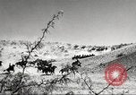 Standbild 1st Cavalry Division Fort Bliss Texas USA, 1942, aus Sekunde 13 historischem Filmmaterial Videoclip 65675063100