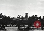 Immagine di 1a divisione di cavalleria Fort Riley Kansas USA, 1942, secondo 38 filmato di repertorio 65675063103