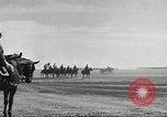 Immagine di 1a divisione di cavalleria Fort Riley Kansas USA, 1942, secondo 51 filmato di repertorio 65675063103