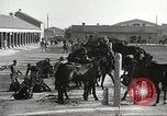 Standbild 1st Cavalry Division Fort Bliss Texas USA, 1942, aus Sekunde 13 historischem Filmmaterial Videoclip 65675063104