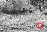 Standbild 1st Cavalry Division Fort Oglethorpe Georgia USA, 1942, aus Sekunde 10 historischem Filmmaterial Videoclip 65675063108
