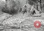 Standbild 1st Cavalry Division Fort Oglethorpe Georgia USA, 1942, aus Sekunde 11 historischem Filmmaterial Videoclip 65675063108