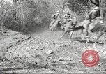 Standbild 1st Cavalry Division Fort Oglethorpe Georgia USA, 1942, aus Sekunde 18 historischem Filmmaterial Videoclip 65675063108