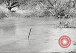 Standbild 1st Cavalry Division Fort Oglethorpe Georgia USA, 1942, aus Sekunde 30 historischem Filmmaterial Videoclip 65675063108