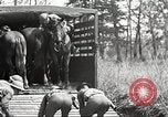 Standbild Elemente der US 6th Cavalry Division in Manövern am Fort Olgelthorpe Fort Oglethorpe Georgia USA, 1942, aus Sekunde 11 historischem Filmmaterial Videoclip 65675063110