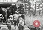 Standbild Elemente der US 6th Cavalry Division in Manövern am Fort Olgelthorpe Fort Oglethorpe Georgia USA, 1942, aus Sekunde 12 historischem Filmmaterial Videoclip 65675063110