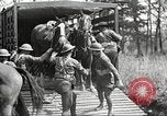 Standbild Elemente der US 6th Cavalry Division in Manövern am Fort Olgelthorpe Fort Oglethorpe Georgia USA, 1942, aus Sekunde 17 historischem Filmmaterial Videoclip 65675063110