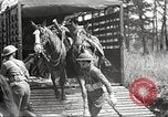 Standbild Elemente der US 6th Cavalry Division in Manövern am Fort Olgelthorpe Fort Oglethorpe Georgia USA, 1942, aus Sekunde 18 historischem Filmmaterial Videoclip 65675063110