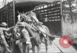 Standbild Elemente der US 6th Cavalry Division in Manövern am Fort Olgelthorpe Fort Oglethorpe Georgia USA, 1942, aus Sekunde 19 historischem Filmmaterial Videoclip 65675063110