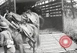 Standbild Elemente der US 6th Cavalry Division in Manövern am Fort Olgelthorpe Fort Oglethorpe Georgia USA, 1942, aus Sekunde 20 historischem Filmmaterial Videoclip 65675063110