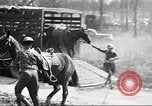 Standbild Elemente der US 6th Cavalry Division in Manövern am Fort Olgelthorpe Fort Oglethorpe Georgia USA, 1942, aus Sekunde 22 historischem Filmmaterial Videoclip 65675063110