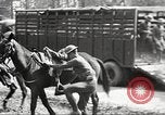 Standbild Elemente der US 6th Cavalry Division in Manövern am Fort Olgelthorpe Fort Oglethorpe Georgia USA, 1942, aus Sekunde 23 historischem Filmmaterial Videoclip 65675063110