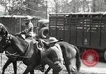 Standbild Elemente der US 6th Cavalry Division in Manövern am Fort Olgelthorpe Fort Oglethorpe Georgia USA, 1942, aus Sekunde 24 historischem Filmmaterial Videoclip 65675063110
