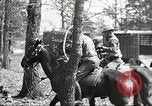 Standbild Elemente der US 6th Cavalry Division in Manövern am Fort Olgelthorpe Fort Oglethorpe Georgia USA, 1942, aus Sekunde 26 historischem Filmmaterial Videoclip 65675063110