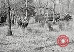 Standbild Elemente der US 6th Cavalry Division in Manövern am Fort Olgelthorpe Fort Oglethorpe Georgia USA, 1942, aus Sekunde 33 historischem Filmmaterial Videoclip 65675063110