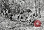 Standbild Elemente der US 6th Cavalry Division in Manövern am Fort Olgelthorpe Fort Oglethorpe Georgia USA, 1942, aus Sekunde 37 historischem Filmmaterial Videoclip 65675063110