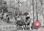 Standbild Elemente der US 6th Cavalry Division in Manövern am Fort Olgelthorpe Fort Oglethorpe Georgia USA, 1942, aus Sekunde 39 historischem Filmmaterial Videoclip 65675063110