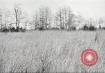 Standbild Elemente der US 6th Cavalry Division in Manövern am Fort Olgelthorpe Fort Oglethorpe Georgia USA, 1942, aus Sekunde 43 historischem Filmmaterial Videoclip 65675063110