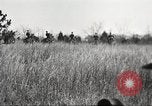 Standbild Elemente der US 6th Cavalry Division in Manövern am Fort Olgelthorpe Fort Oglethorpe Georgia USA, 1942, aus Sekunde 51 historischem Filmmaterial Videoclip 65675063110