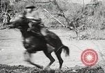 Standbild Elemente der US 6th Cavalry Division in Manövern am Fort Olgelthorpe Fort Oglethorpe Georgia USA, 1942, aus Sekunde 58 historischem Filmmaterial Videoclip 65675063110