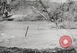 Standbild Elemente der US 6th Cavalry Division in Manövern am Fort Olgelthorpe Fort Oglethorpe Georgia USA, 1942, aus Sekunde 59 historischem Filmmaterial Videoclip 65675063110