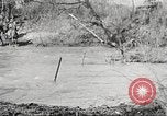 Standbild Elemente der US 6th Cavalry Division in Manövern am Fort Olgelthorpe Fort Oglethorpe Georgia USA, 1942, aus Sekunde 60 historischem Filmmaterial Videoclip 65675063110